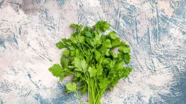 garnishing-instructions-image